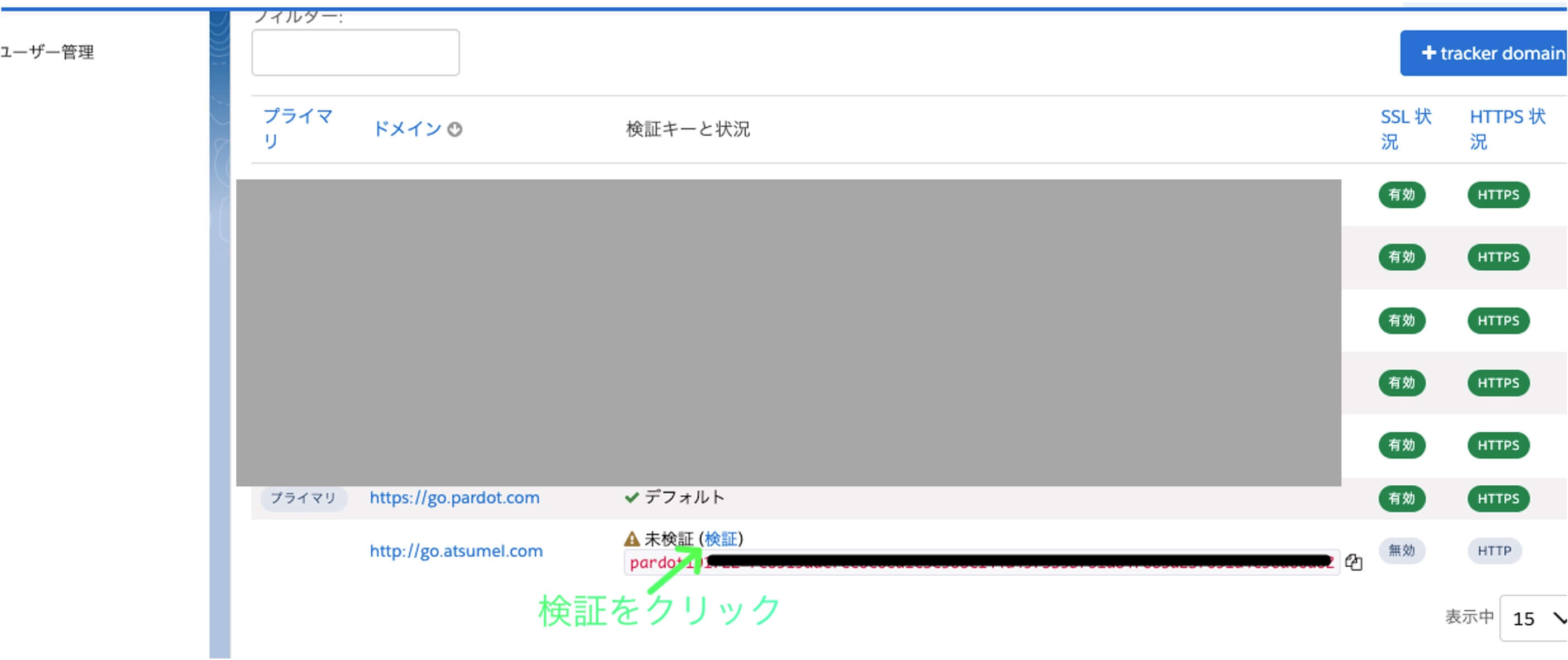 DNSレコードを登録後のAccountEngagementの検証ボタンをクリックする画面