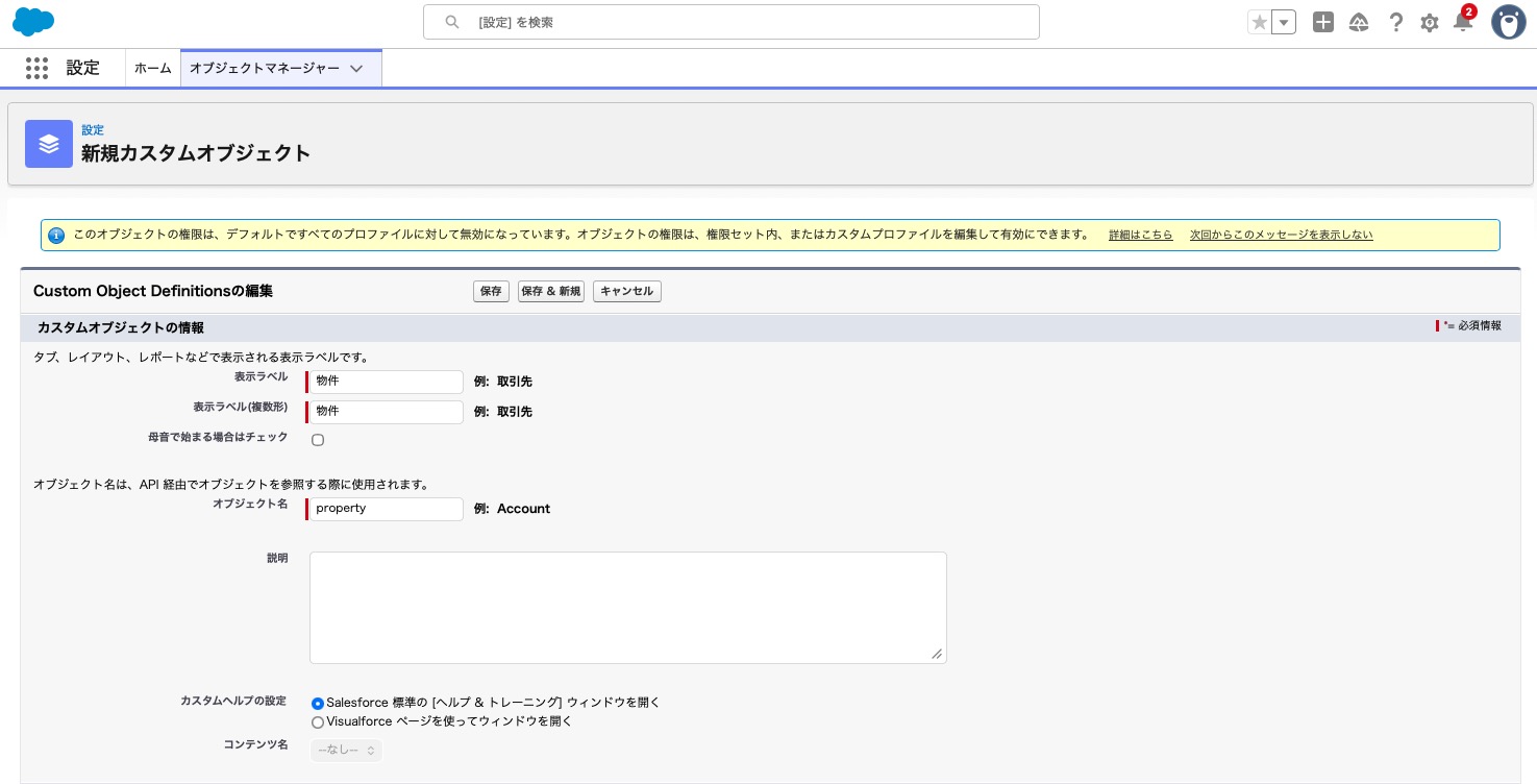 カスタムオブジェクトの新規作成時の設定画面