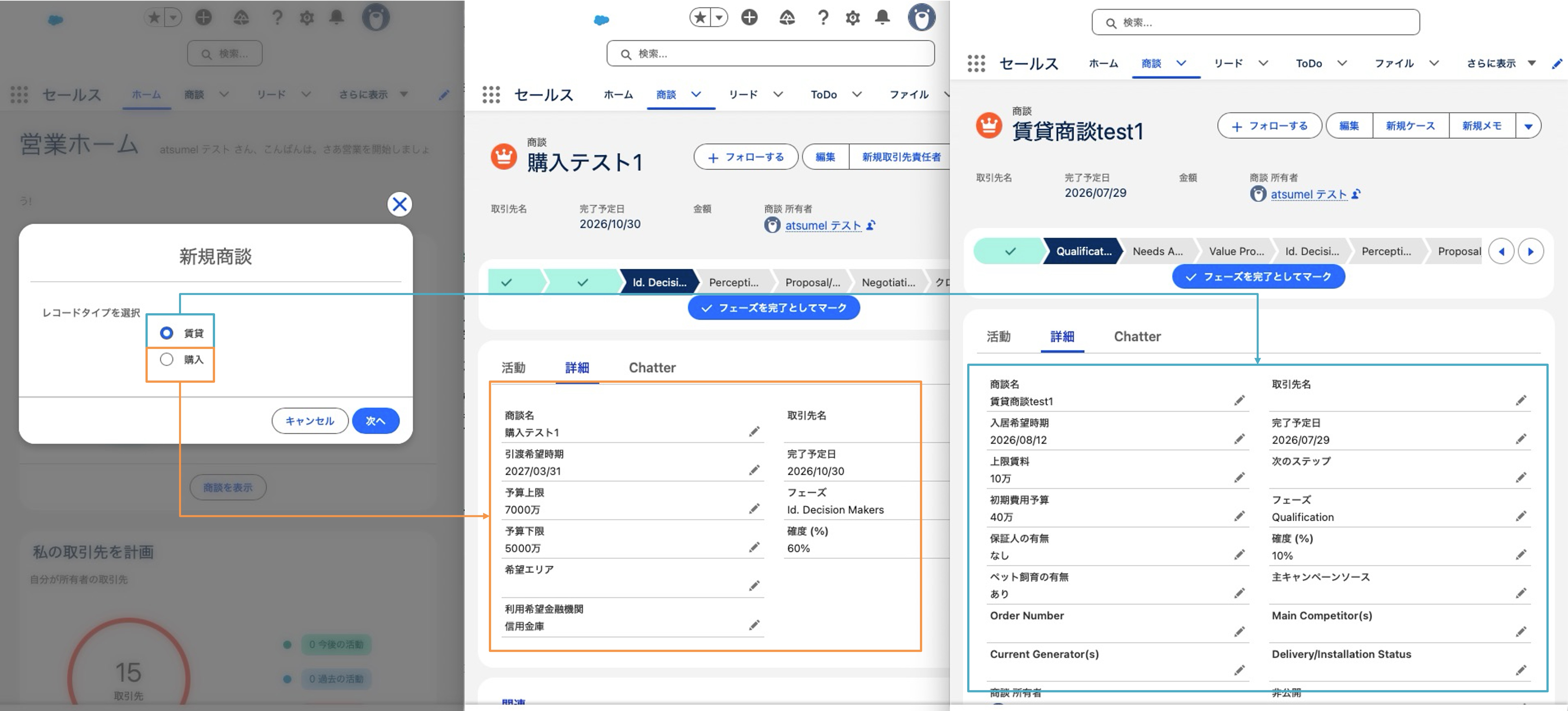 選択したレコードタイプによるページレイアウトの表示わけ