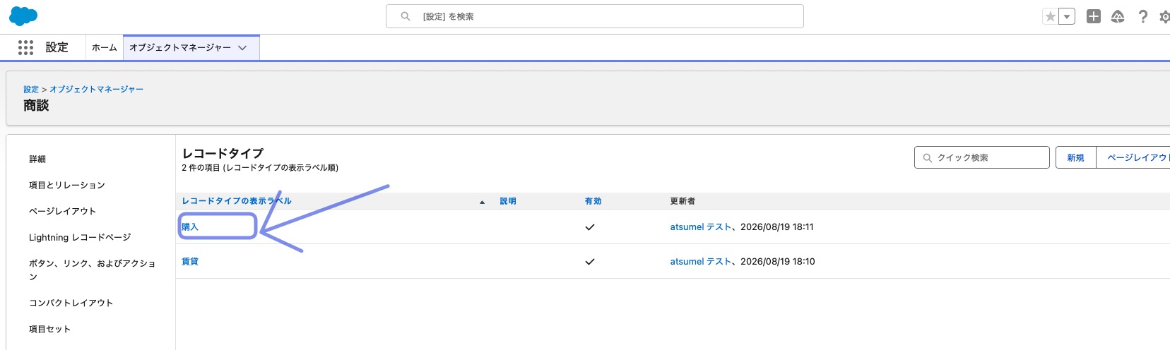 レコードタイプの名の表示