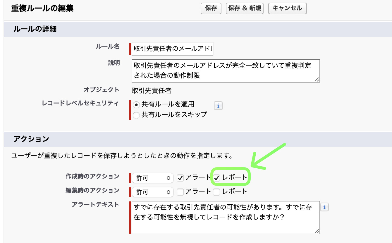 重複したレコードのレポートを作成するための設定画面